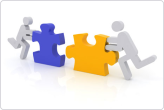 Professional EDI Consultancy