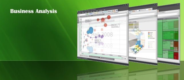 Business Analysis
