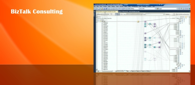 BizTalk Consulting